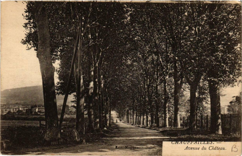 Carte postale ancienne Chauffailles Avenue du Chateau à Chauffailles