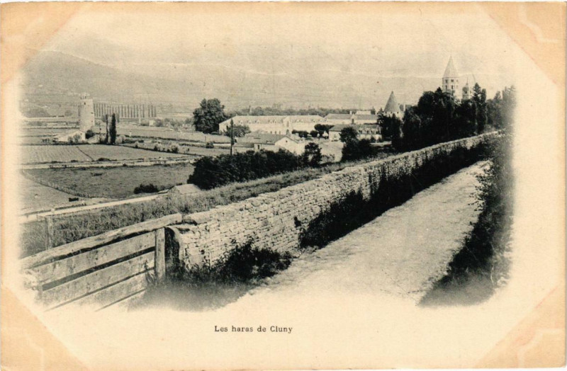 Carte postale ancienne Cluny Les haras de Cluny à Cluny