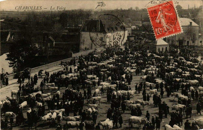 Carte postale ancienne Charolles La Foire à Charolles