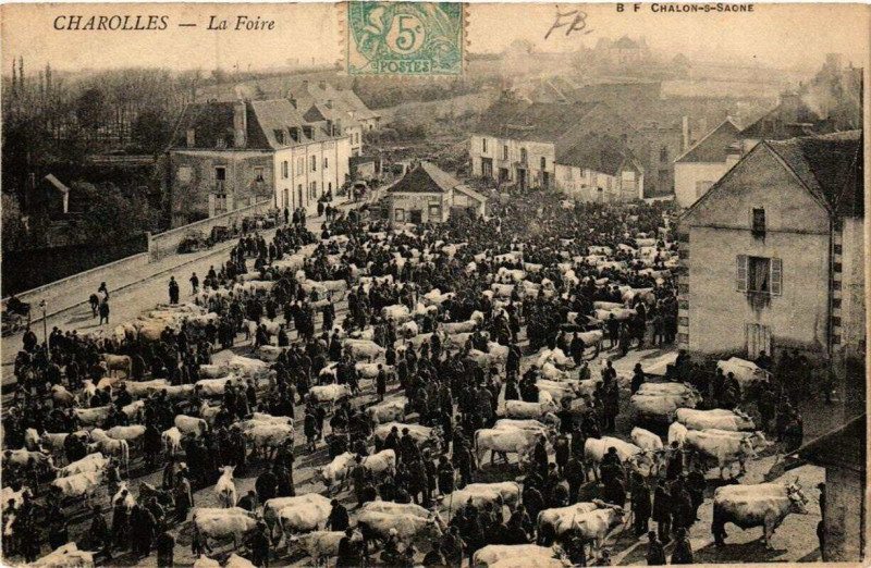 Carte postale ancienne Charolles La Foire à Charolles