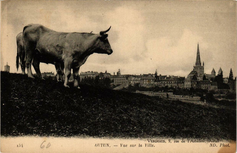 Carte postale ancienne Autun Vue sur la Ville à Autun