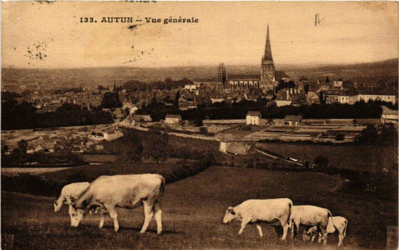 Carte postale ancienne Autun Vue générale à Autun