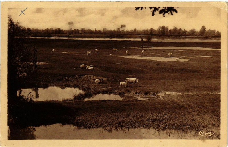 Carte postale ancienne Bourbon-Lancy La Loire et ses Paturages France à Bourbon-Lancy