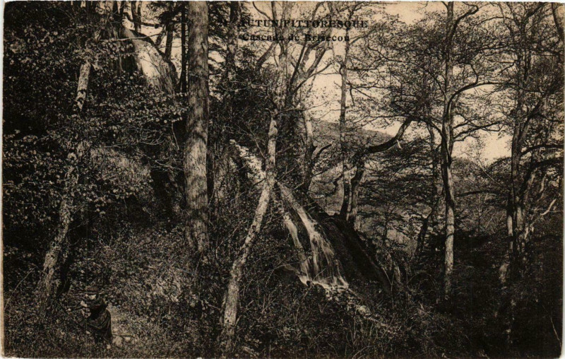 Carte postale ancienne Autun Cascade de Brisecon France à Autun