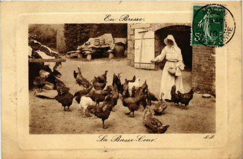 Carte postale ancienne Macon La Basse-Cour France à Mâcon