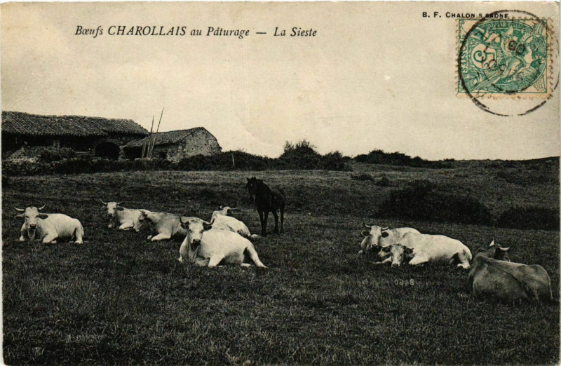 Carte postale ancienne Charolles La Sieste France à Charolles