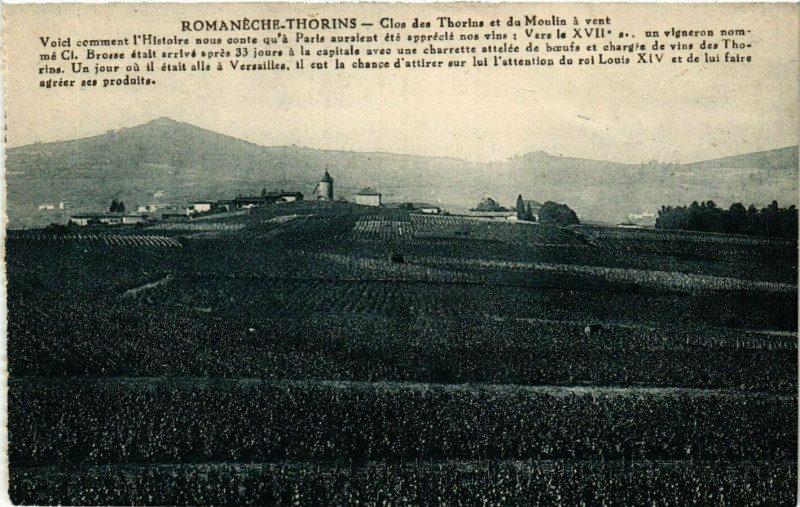 Carte postale ancienne Romaneche-Thorins - Clos des Thorins et du Moulin a vent à Romanèche-Thorins