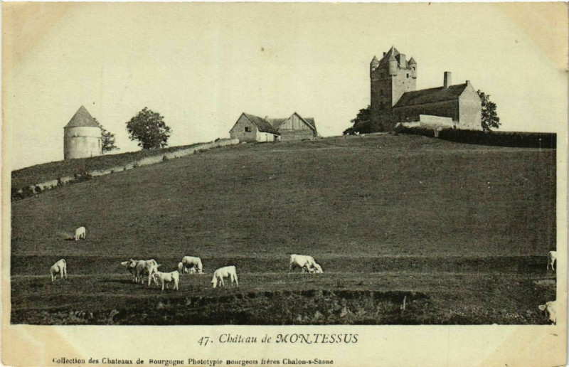 Carte postale ancienne Chateau de Montlessus à Château
