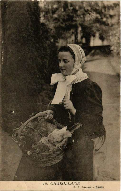 Carte postale ancienne Charollaise