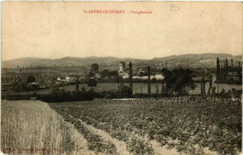 Carte postale ancienne Saint-Andre-le-Desert - Vue générale à Saint-André-le-Désert