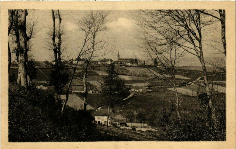 Carte postale ancienne Montmlard (S.-&-L.) - Vue générale cote Est à Mont