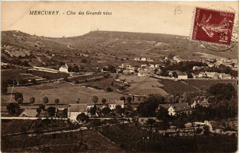 Carte postale ancienne Mercurey - Cote des Grands vins à Mercurey