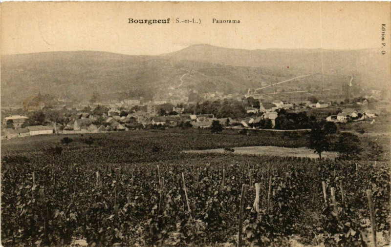 Carte postale ancienne Bourgneuf - Panorama