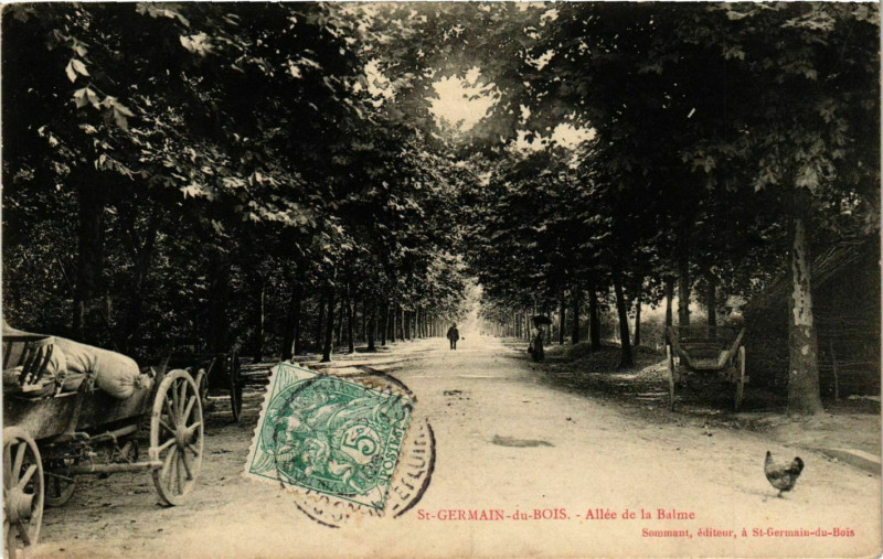 Carte postale ancienne Saint-Germain-su-Bois - Allée de la Balme