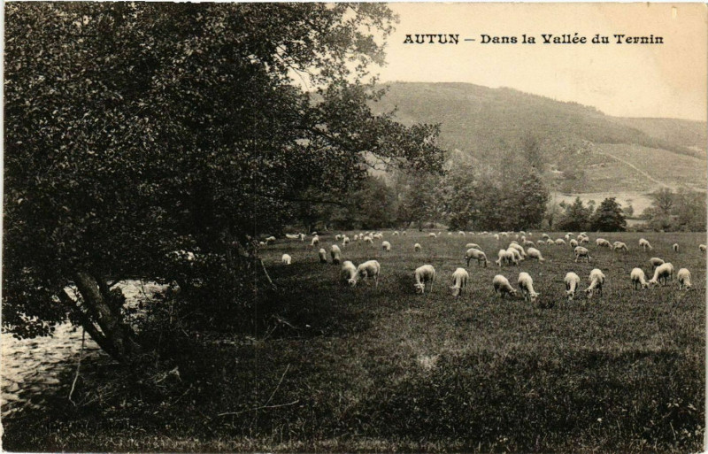 Carte postale ancienne Autun - Dans la Vallée du Ternin à Autun