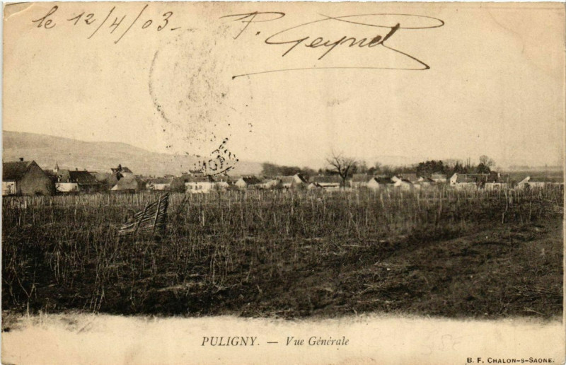 Carte postale ancienne Puligny - Vue générale