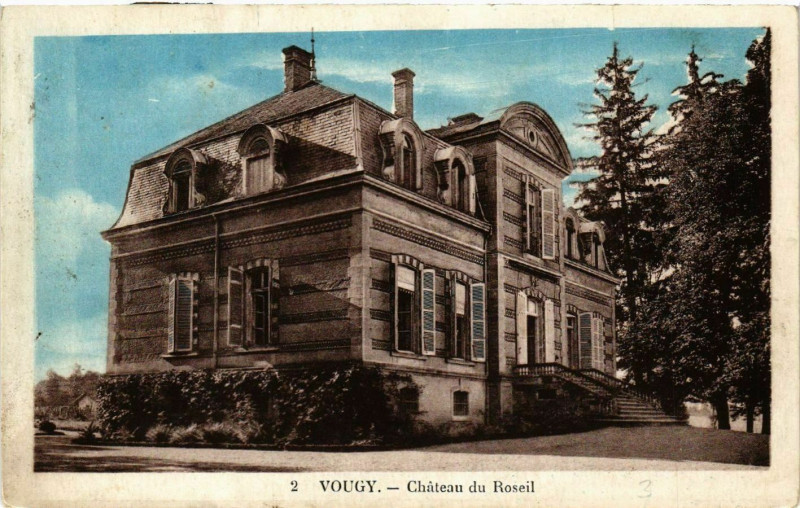 Carte postale ancienne Vougy - Chateau du Roseil à Château