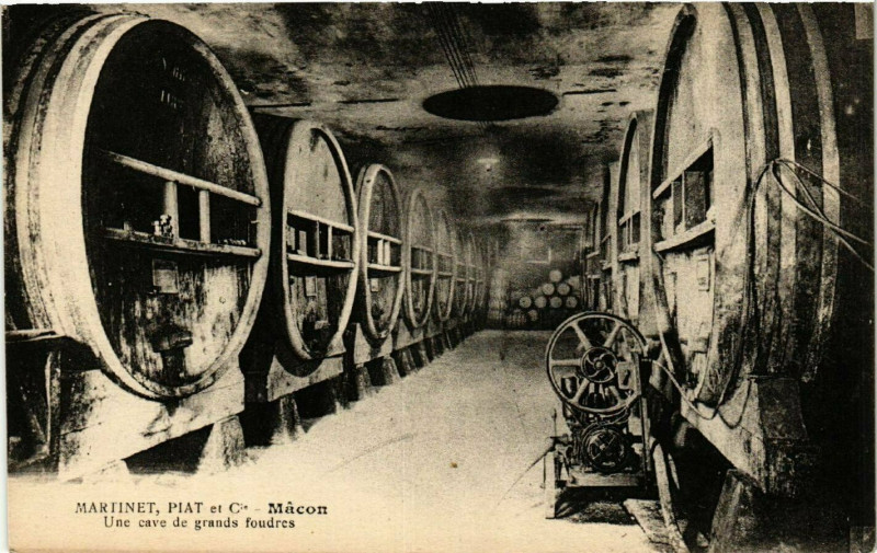 Carte postale ancienne Macon - Martinet - Piat et Cie - Une cave de grands foudres à Mâcon
