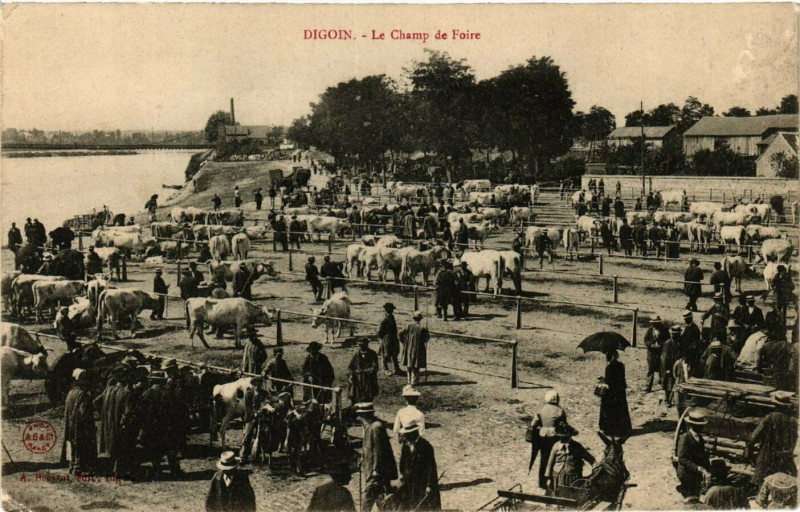 Carte postale ancienne Digoin - Le Champ de Foire à Digoin