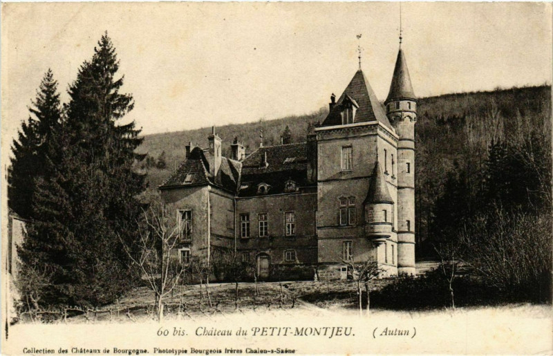 Carte postale ancienne Chateau du Petit-Montjeu à Château