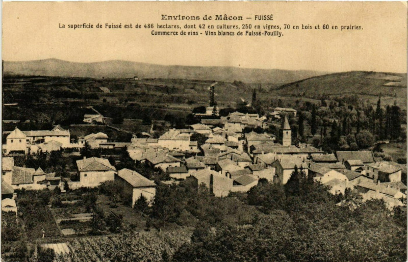 Carte postale ancienne Fuisse - Fuisse - Env. de Macon - La Superficie de Fiusse à Fuissé