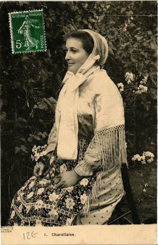 Carte postale ancienne Charollais - Charollaise