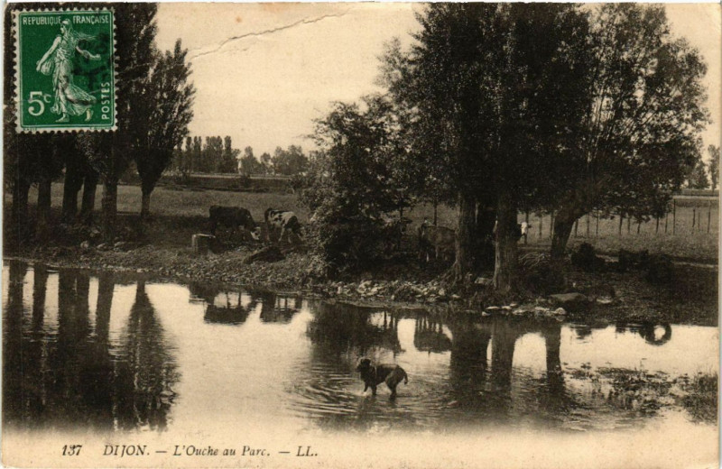 Carte postale ancienne Dijon - L'Ouche au Parc à Dijon