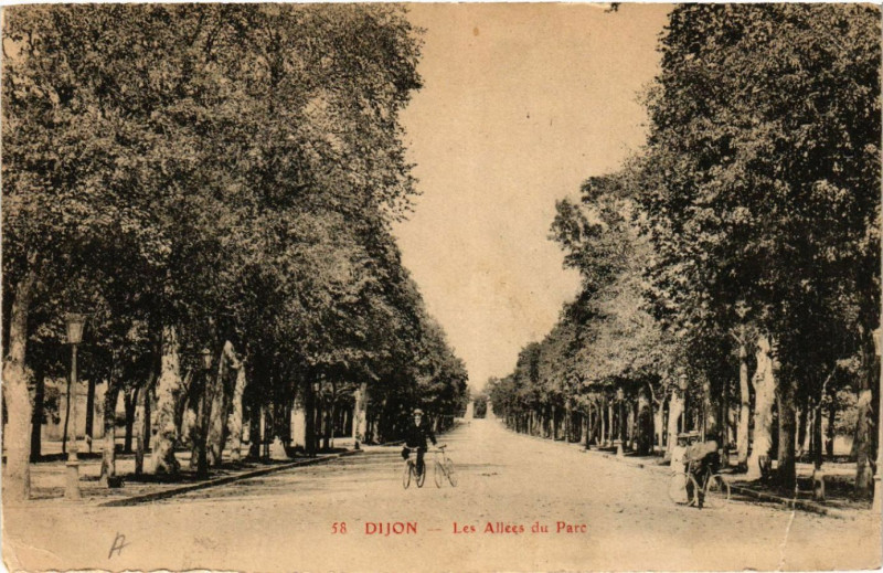 Carte postale ancienne Dijon - Les Allées du Parc à Dijon