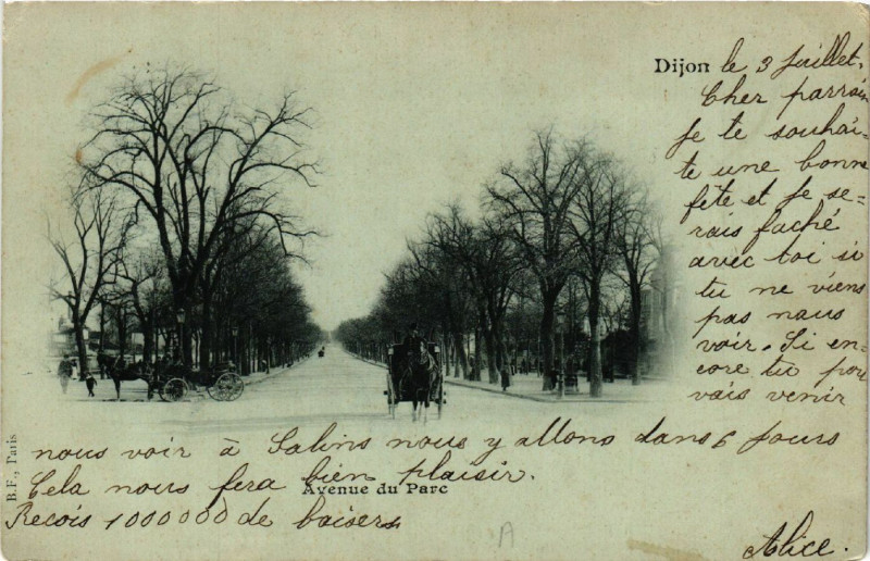Carte postale ancienne Dijon - Avenue du Parc à Dijon