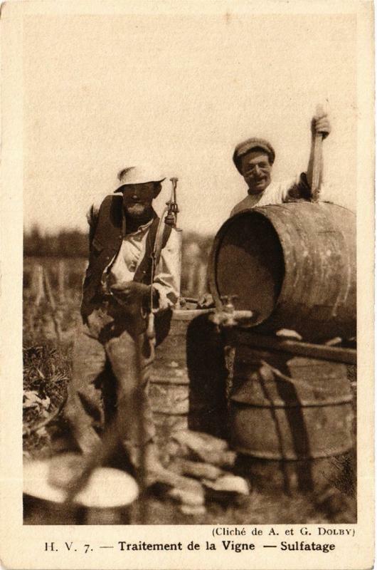 Carte postale ancienne Traitement de la Vigne - Sulfatage