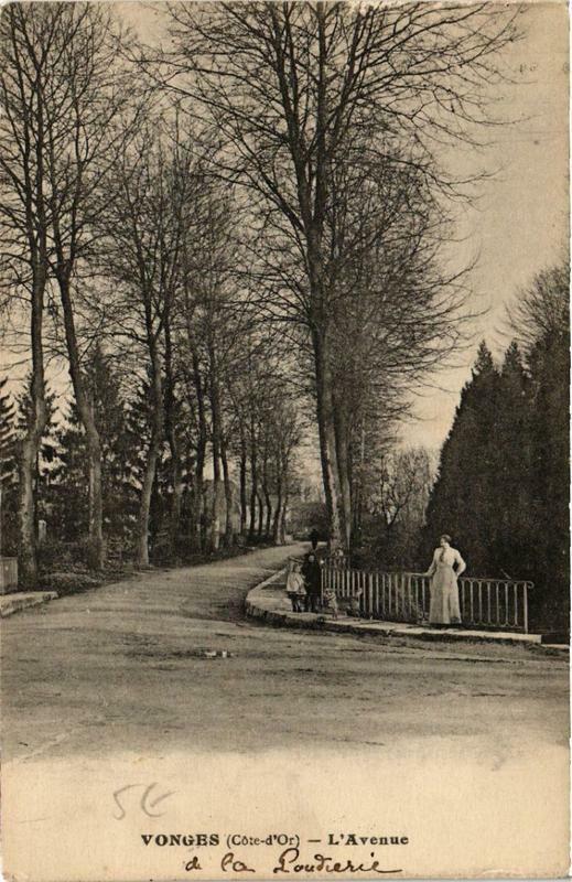 Carte postale ancienne Vonges L'Avenue à Vonges
