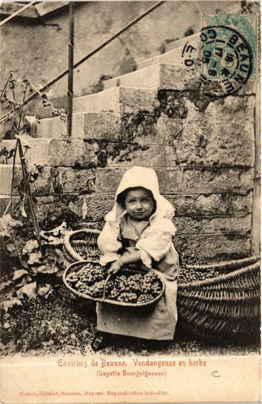 Carte postale ancienne Env. de Beaune Vendangeuse en herbe à Beaune