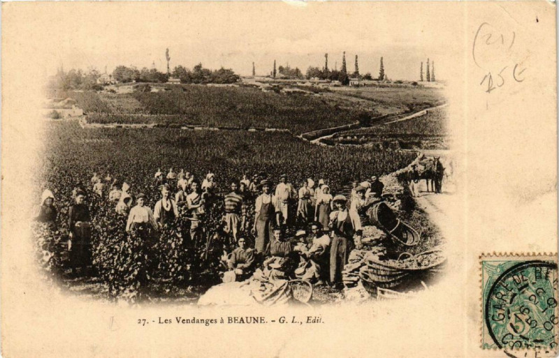 Carte postale ancienne Les Vendanges a Beaune à Beaune