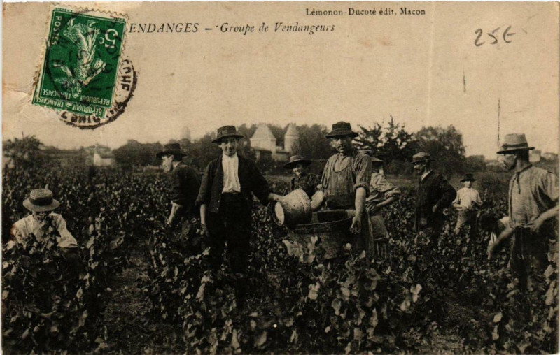 Carte postale ancienne Vendanges Groupe de Vendangeurs