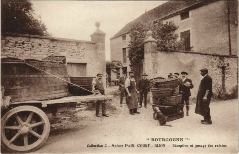 Carte postale ancienne Dijon Maison Paul Court, Réception et pesage des raisins à Dijon