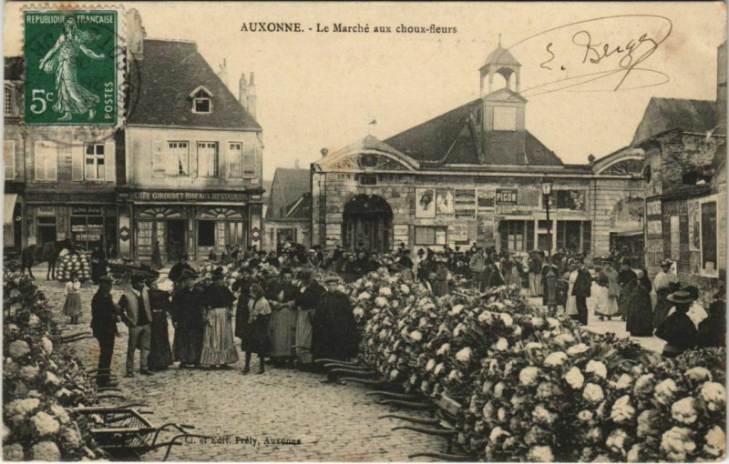 Carte postale ancienne Auxonne - Le Marché aux choux-fleurs à Auxonne