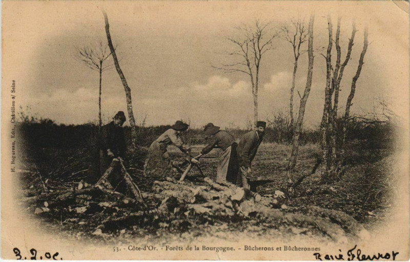 Carte postale ancienne Cote-d'Or - bucherons et bucheronnes