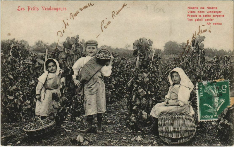 Carte postale ancienne Les Petits vendengeurs