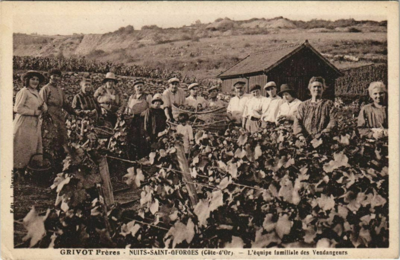 Carte postale ancienne Nuits-Saint-Georges Grivot Freres, équipe familiale à Nuits-Saint-Georges