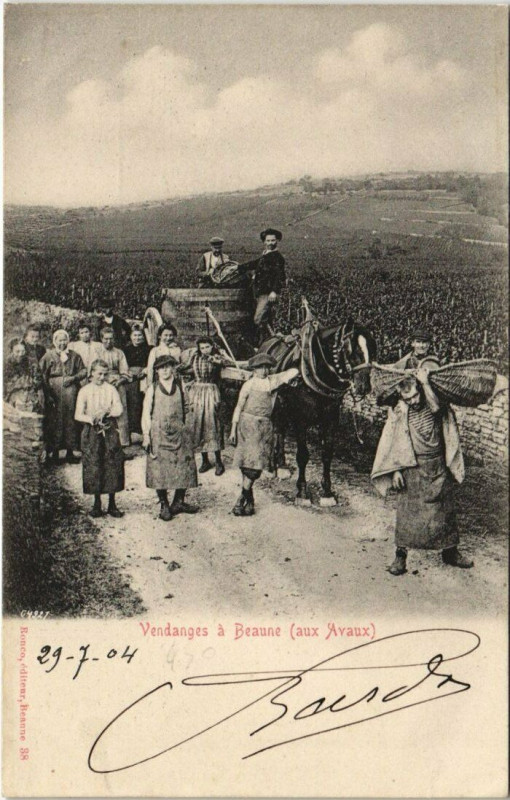 Carte postale ancienne Beaune Vendanges, aux Avaux à Beaune
