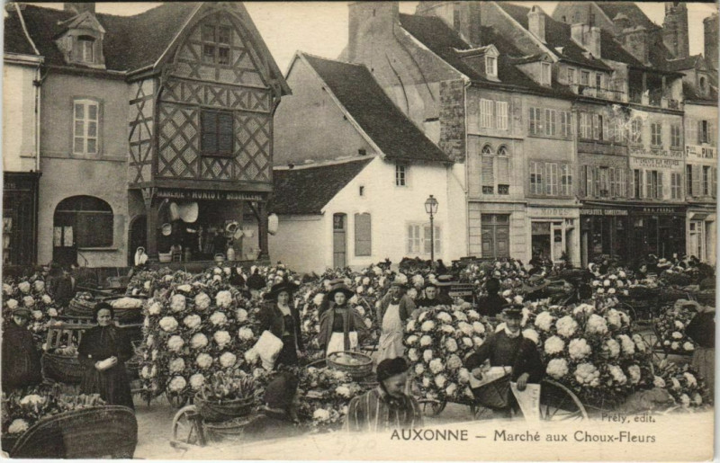 Carte postale ancienne Auxonne - Marché aux Choux-Fleurs à Auxonne