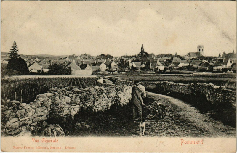 Carte postale ancienne Pommard - Vue générale à Pommard