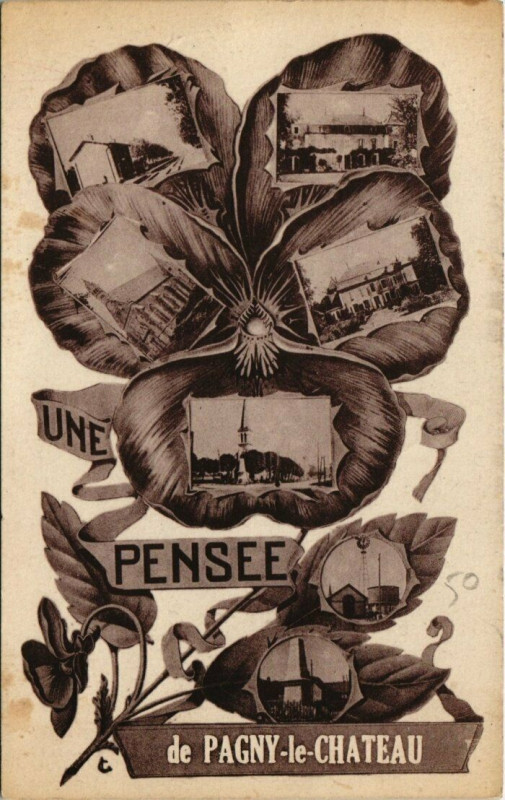 Carte postale ancienne Pany Le Chateau - Une pense collage dans une fleure