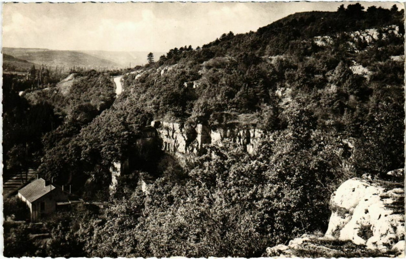 Carte postale ancienne Nuits-Saint-George - La Vallee de la Seree