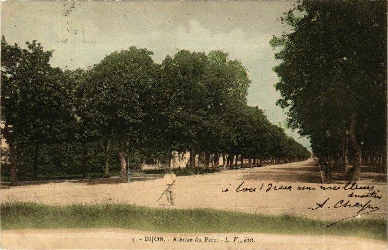 Carte postale ancienne Cote-d'Or Dijon Avenue du Parc à Dijon