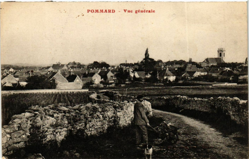 Carte postale ancienne Pommard - Vue générale à Pommard
