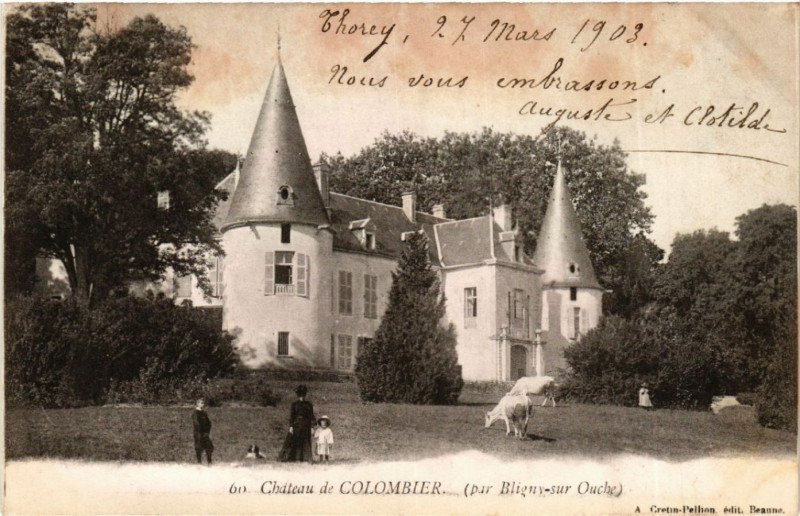 Carte postale ancienne Chateau de Colombier (par Bligny-sur-Ouche) à Colombier
