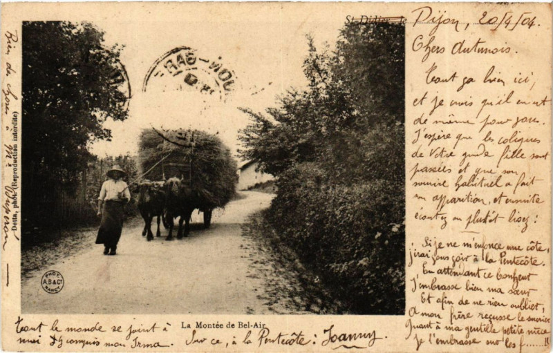 Carte postale ancienne Sainte-Didier, le .... - La Montée de Bel-Air