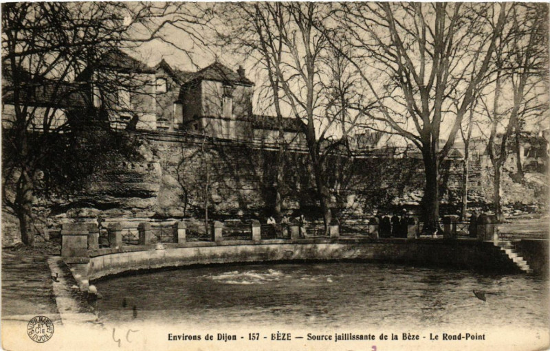 Carte postale ancienne Environs de Dijon - Béze -Source jaillissante de la Béze -Le ... à Dijon