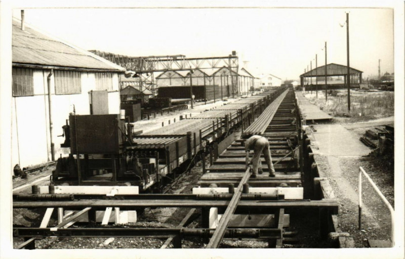 Carte postale ancienne Saulon - Le parc des affenoriissiment
